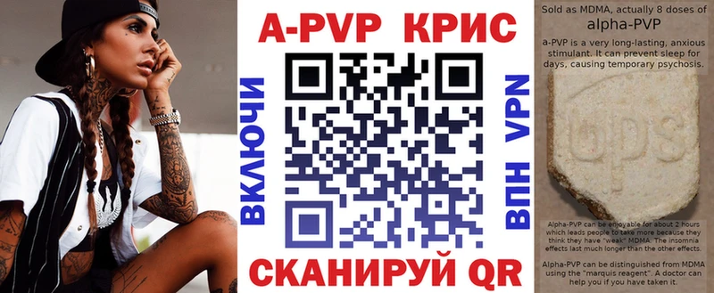 дарнет шоп  Ершов  A-PVP крисы CK 