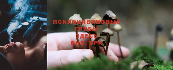 каннабис Беломорск
