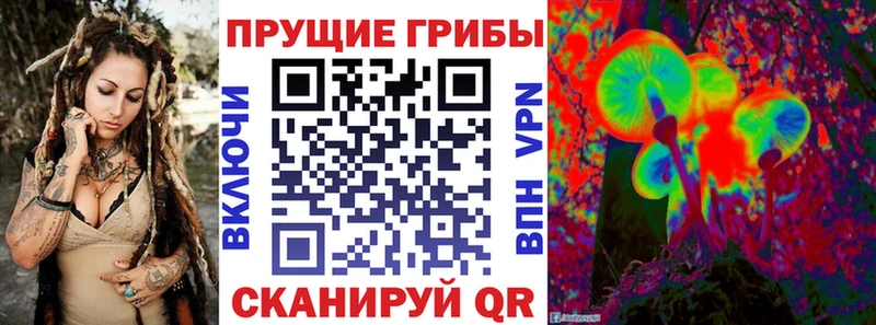 Псилоцибиновые грибы Cubensis Ершов